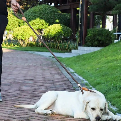 laisse de chien | Laisso - tendressechien.com
