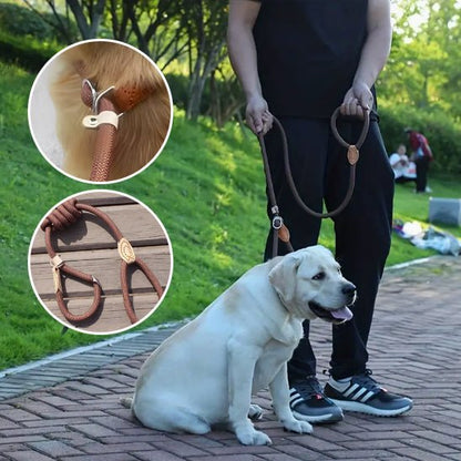 laisse de chien | Laisso - tendressechien.com
