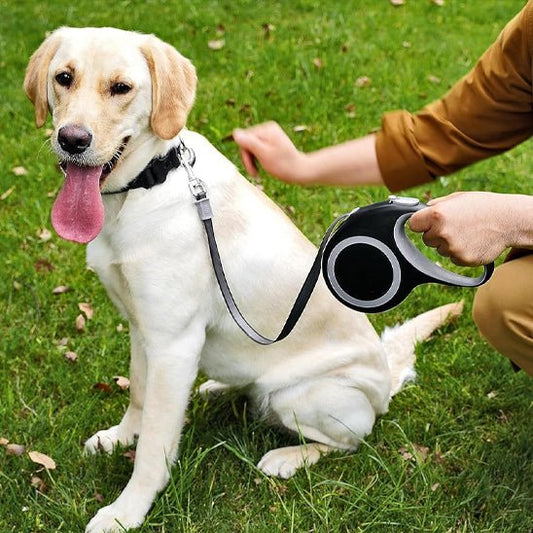 laisse enrouleur chien | Enroulex - tendressechien.com