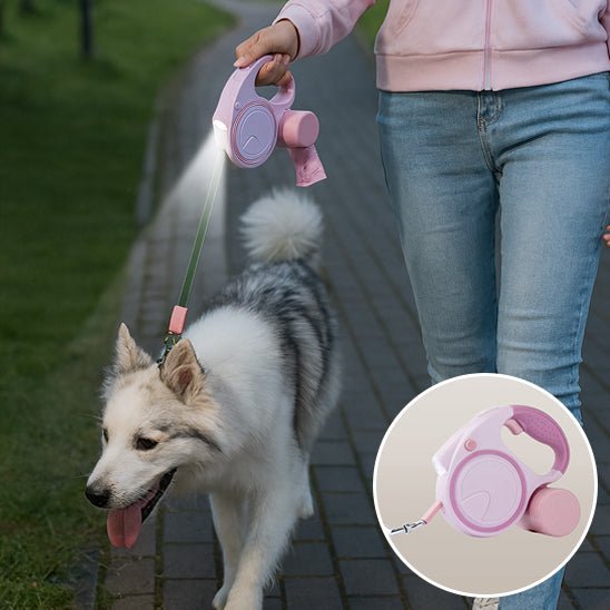 laisse enrouleur chien | Multipate - tendressechien.com