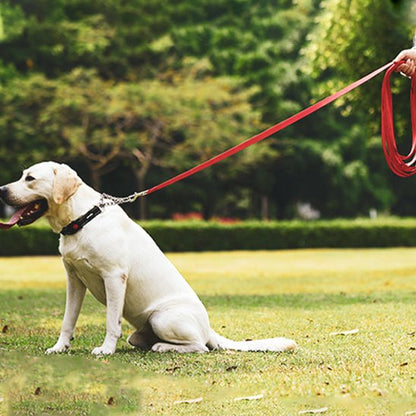 laisse pour chien | balalaisse - tendressechien.com