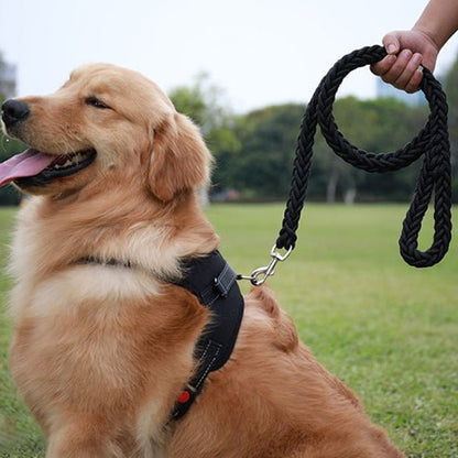 laisse pour chien | Tresschien - tendressechien.com