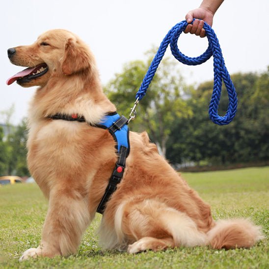 laisse pour chien | Tresschien - tendressechien.com