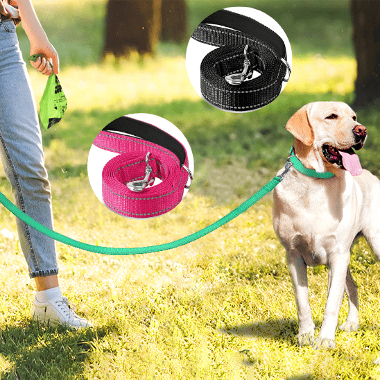 laisses pour chiens | Laissereflect - tendressechien.com