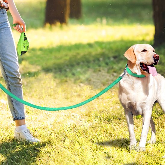 laisses pour chiens | Laissereflect - tendressechien.com