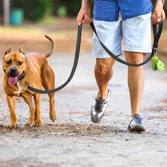 laisses pour chiens | Laissereflect - tendressechien.com
