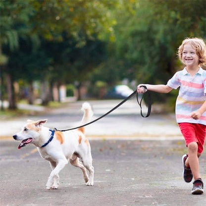 laisses pour chiens | Laissereflect - tendressechien.com