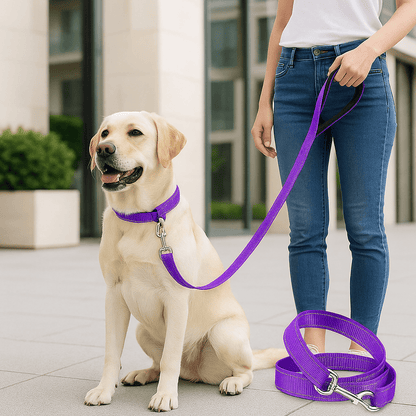 laisses pour chiens | Laissereflecto - tendressechien.com