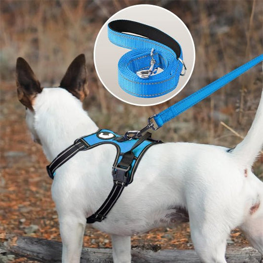 laisses pour chiens | Laissereflecto - tendressechien.com