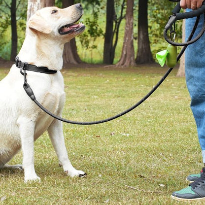 laisses pour chiens | Laissillumine - tendressechien.com