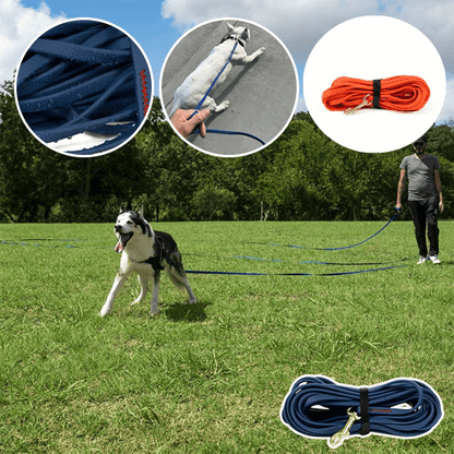 laisses pour chiens | Maitriselaisses - tendressechien.com