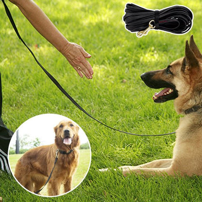 laisses pour chiens | Maitriselaisses - tendressechien.com